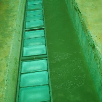 Imagen De Whatsapp 2024 12 22 A Las 21.01.04 1efba9d2