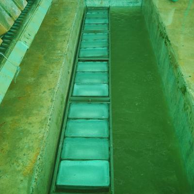 Imagen De Whatsapp 2024 12 22 A Las 21.01.04 32c8349f